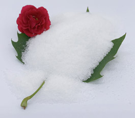 Lolenge nini ya polyacrylamide ezali malamu koleka mpo na kobongisa mai ya bosoto ya kosukola mituka?