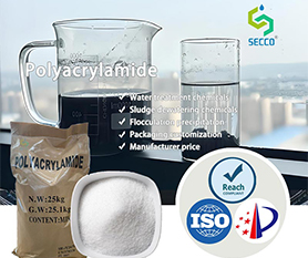 Analyse technique ya Secco Polyacrylamide (PAM) na traitement ya mai ya bosoto ya kosukola charbon