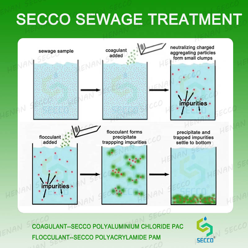 Ndenge nini moto asengeli kosala ntango azali kosalela polyacrylamide mpe polyaluminium chloride mpo na flocculation ya mai ya bosoto mpe traitement ya s&eacute;dimentation?